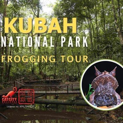 Cat City Holidays Evening Frogging Tour (Min. 2 adults / Prices are for 2 adults)