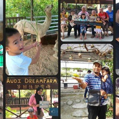 Audi Dream Farm - Family Farm Visit Combo (2 Adults 1 Child)