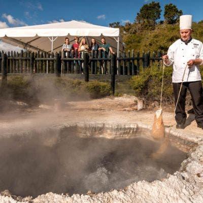 Te Puia Guided Tour with Steambox Hangi Lunch steambox experience
