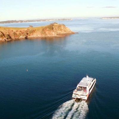 Waiheke Island Ferry from Auckland Return Trip