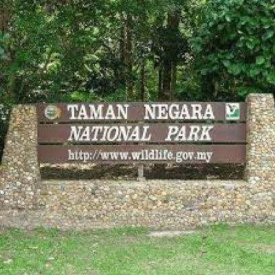 TAMAN NEGARA NATIONAL PARK PAHANG