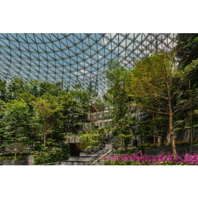 Jewel Changi Airport - Bouncing Net + Complimentary Canopy Park